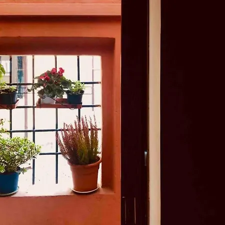 Stunning Flat In The Center Of דירה *